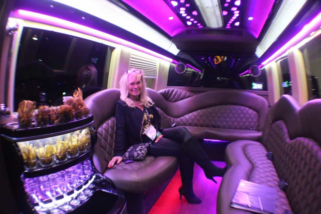 About Patricia Stephenson - Interior of Mercedes Party 15 passenger