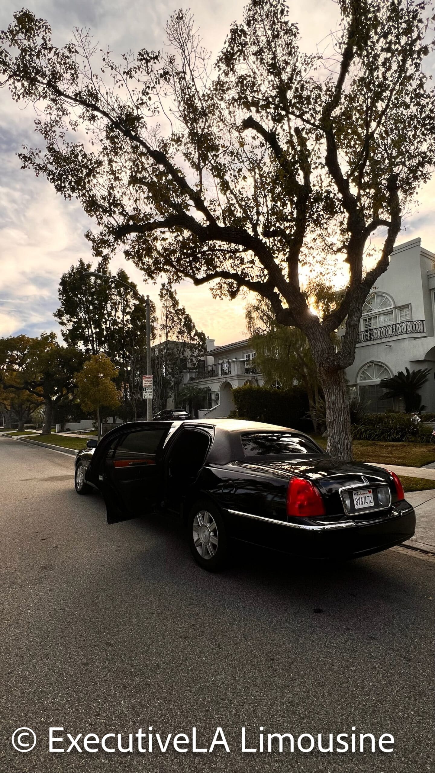 Classic Black Corporate Limousine - Caesar