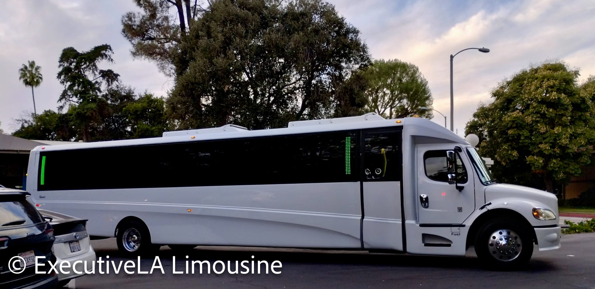 Disco Party Bus - Bertha